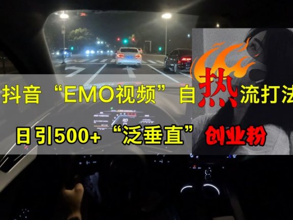 抖音EMO视频自热打法,日引500+创业粉“泛垂直”
